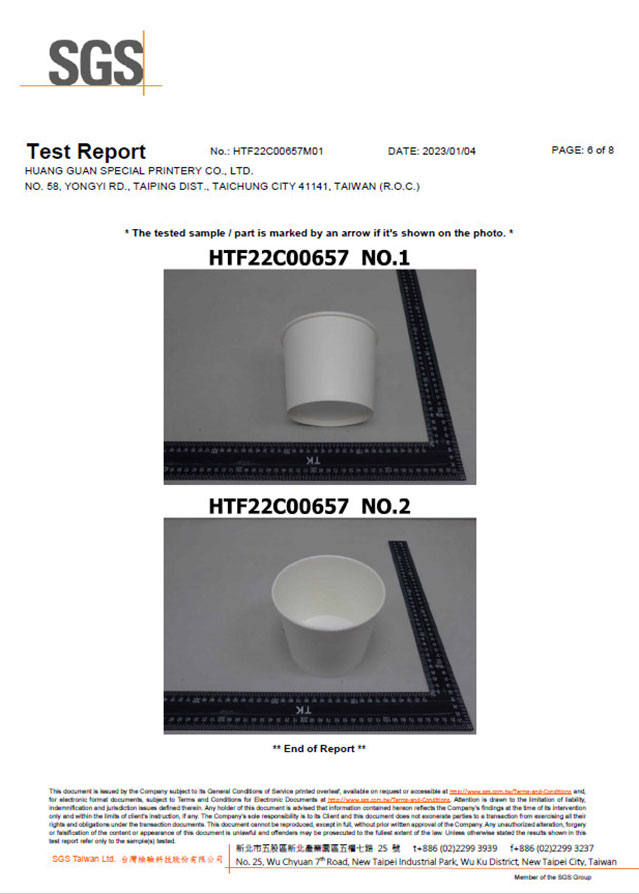 SGS Paper Test Report 6